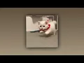 PtrpStudio - ชอบเธออะ (sped up)
