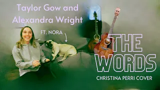 Download The Words - Christina Perri (Taylor and Alex Acoustic Cover) MP3