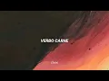 Verbo Carne - Gustavo Cerati // Letra