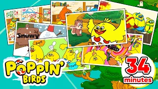 Learn & Play Songs Compilation / POPPIN' BIRDS