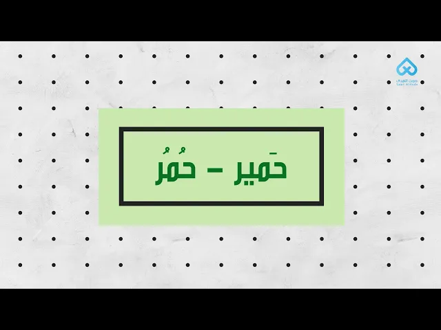 ⁣حَمير - حُمُر | لطائف قرآنية 14