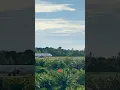 Download Lagu Pemandangan dari Masjid Al Fauzan di Nagari Katapiang, yang berdesain seperti kapal pesiar