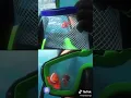 Lagu Nemo tiktok