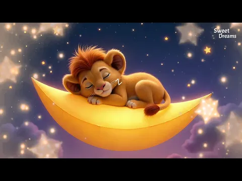 Lion Alex Sweet Lullaby 3 hours