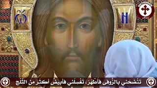 المزمور الخمسون          دندنها