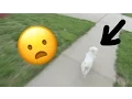 QUINCY ALMOST GOT AWAY