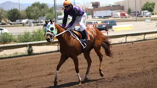 2026 All American Futurity G1 Trials Recap Day 2 - StallioneSearch com