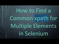 How to Find a Common xpath for Multiple Elements in Selenium