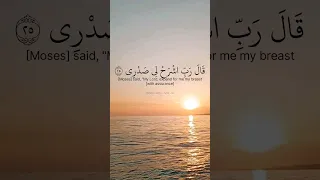 قال ربي اشرح لي صدري ويسر لي أمري  ماتيسر من سورة طه بصوت القارئ خالد الجليل دندنها