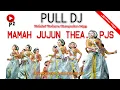 Download Lagu PULL DJ TERBARU MAMAH JUJUN THEA { Mp3 }