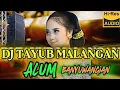 Download Lagu DJ TAYUB GLER HOREG MALANGAN | ALUM KEMBANG PUJANE ATI | DJ CAMPURSARI VIRAL
