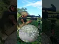 Download Lagu Berburu belibis #belibis #duck #hunting #senapanpcp #huntinglife #airrifleshooting #senapanbocap