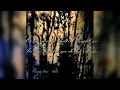 Download Lagu Mazzy Star - So Tonight That I Might See, ascension version (lyrics)