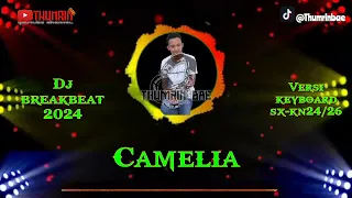 Download Dj Kamelia / Cover / Versi Thumrinbae MP3