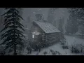 BRUTALER ARKTISCHER WINTER mit EXTREMER KÄLTE und Schneestürmen. SCHWERER WINTERSTURM 2024