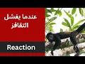 Download Lagu عندما يفشل تقافز القرد  | حلقة كوميدية