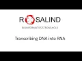 ROSALIND ID RNA - TRANSCRIBING DNA INTO RNA