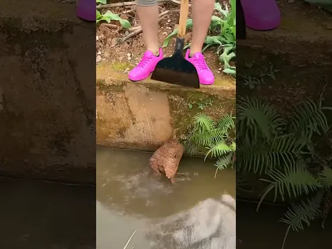 🔔Multifunctional garden shovels - Multifunctional All-Steel Garden Cleaning Shovel ( # 193 ) ‪