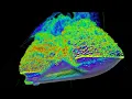SpaceX Starship Belly Flop CFD Simulation in 160GB GPU VRAM