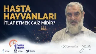 Hasta hayvanları itlaf etmek caiz midir?