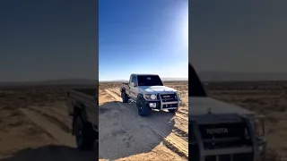 محمد البصيلي إحنا النسور احنا الهيبة 2025 