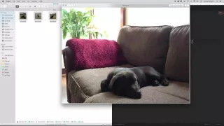 Python Scripting Tutorial Image Manipulation with Pillow