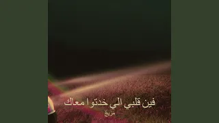 فين قلبي الي خدتوا معاك دندنها