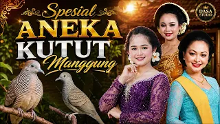 SPESIAL ANEKA KUTUT MANGGUNG @dasastudio