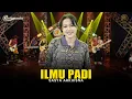 Download Lagu SASYA ARKHISNA - ILMU PADI | Feat. RASTAMANIEZ ( Official Live Version )