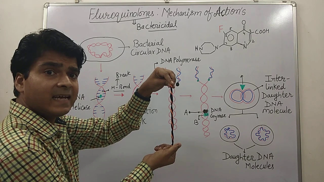 Fluoroquinolones Mechanisms of Action | Topoisomerase Inhibitor | BPharm Pharmacology | NEET PG