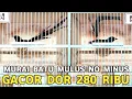 Download Lagu REEL BUKAN HOAK !!! KOWUL 20 RIBU MURAI BATU GACOR 280 RIBU DI PASAR BURUNG PRAMUKA