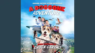 adventure