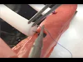 3D printed bile duct