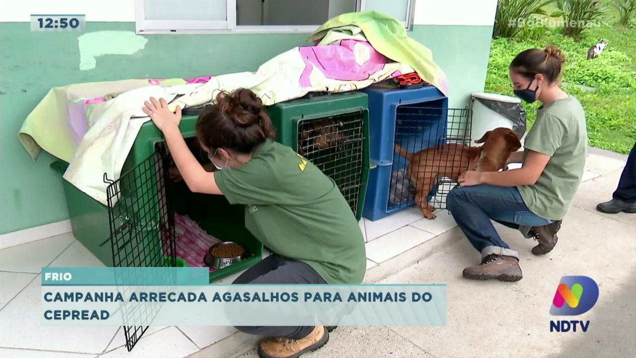 Campanha arrecada agasalhos para animais do Cepread em Blumenau