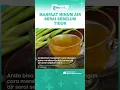 Download Lagu Manfaat Minum Air Serai Sebelum Tidur, Rasakan Manfaatnya Bagi Kesehatan