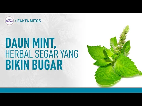 Bukan Hanya Untuk Relaksasi, Ini Sejumlah Manfaat Daun Mint