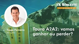 PECUÁRIA LEITEIRA - REPRODUÇÃO: Touro A2A2: vamos ganhar ou perder?