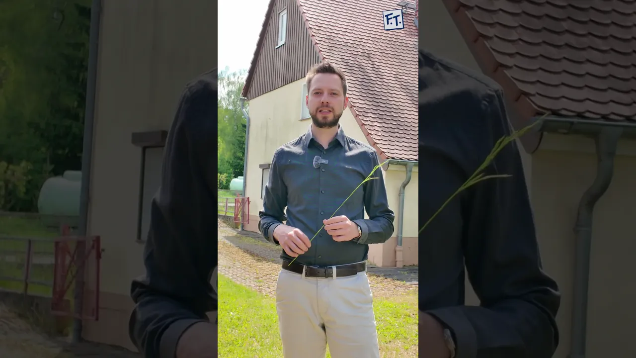 🏡 Klein, aber Dein – Eigenheim