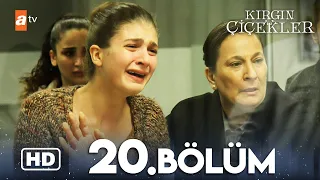 Kırgın Çiçekler 20 Bölüm HD 