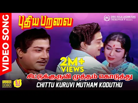 Chittu Kuruvi - YouTube