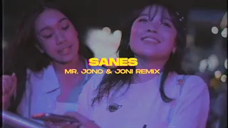 Download SANES - JONOJONI OFFICIAL (MR. JONO \u0026 JONI REMIX) MP3