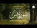 Download Lagu Surat Yasin (Yaseen) | سورة يس | Alaa Aqel | Peace, Reflection, Guidance | Quran Translation