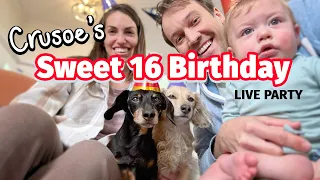 Crusoe's 16 Birthday (LIVE - redo/real one!)