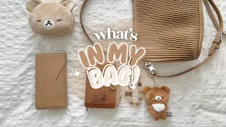 What s in my every day bag