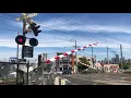 Sprinter Passing Macaulay Road Crossing