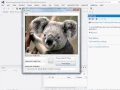 Image Resizer 2 0 in VB net
