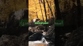 هاني شاكر اسمعيني ابلي ما تتغربي حالات واتساب مغتربة بفرنسا 