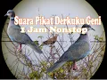 Download Lagu SUARA PIKAT DERUK GENI - PUTER GENI 1 JAM NONSTOP