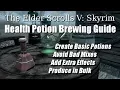 Skyrim Health Potion Guide