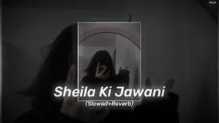 Download Sheila Ki Jawani ( Slowed+Reverb ) MP3